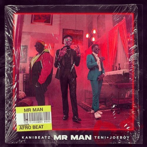 Kani Beatz - Mr Man (feat. Teni, Joeboy)