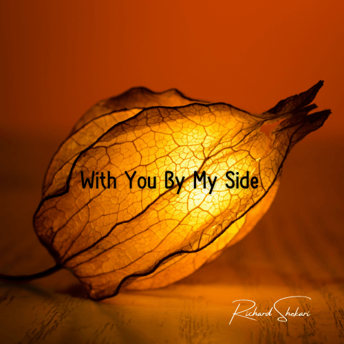 Richard Shekari - With You By My Side