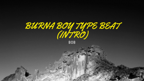beatonthebeat - BURNA BOY TYPE BEAT (INTRO)