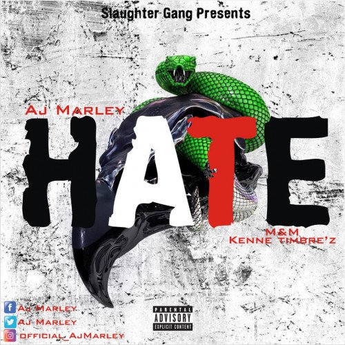 Aj Marley - HATE