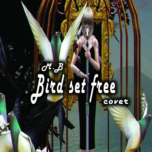 M.B - Bird Set Free