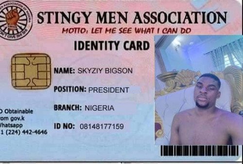 Skyziy bigson - Stingy Men Association
