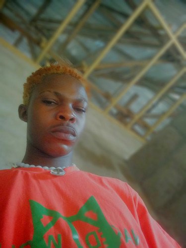 Vizzyboy _x_ honesty - Lolo