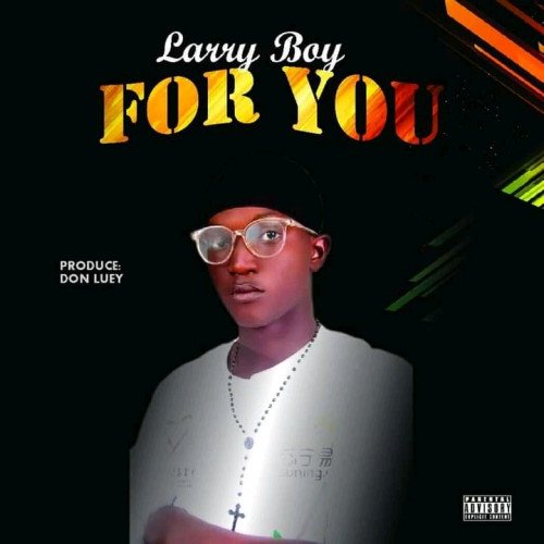 LARRYBOY - FOR YOU