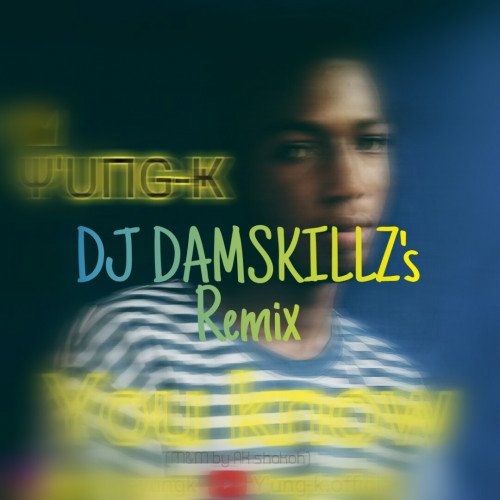 Yung-k Ryan - You Know  (Dj Damskillz Remix)