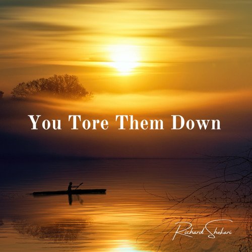 Richard Shekari - You Tore Them Down