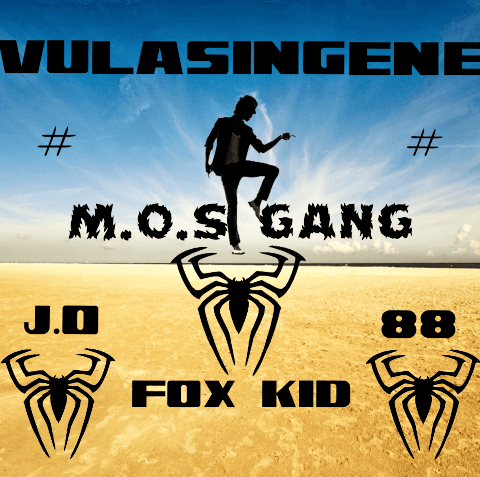 M.O.S GANG #Crazy fox kid - Vulasingene