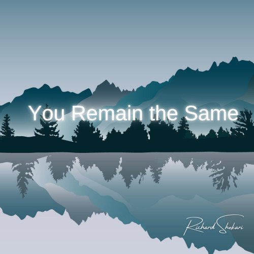 Richard Shekari - You Remain The Same