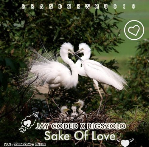 Jay Coded x Bigszolo - Sake Of Love