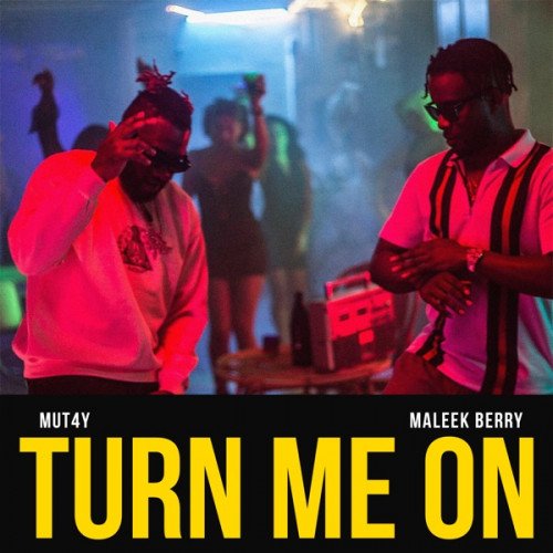 Mut4Y - Turn Me On (feat. Maleek Berry)