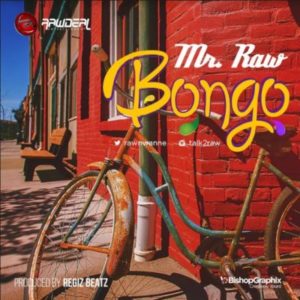 Mr. Raw - Bongo