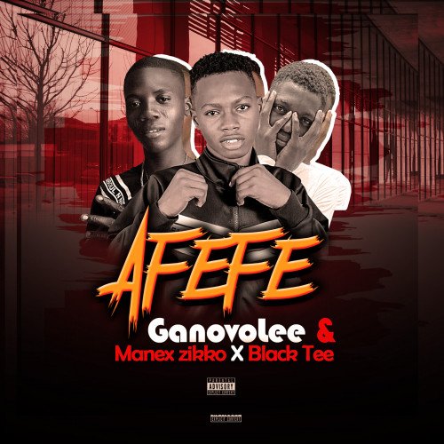 GanovoLee - AFEFE