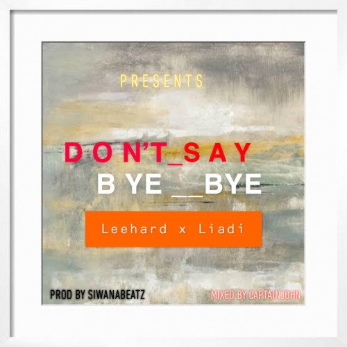 Leehard x liadi - Don’t Say Bye Bye