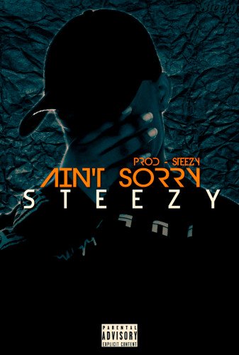 Steezy sall - Ain't Sorry