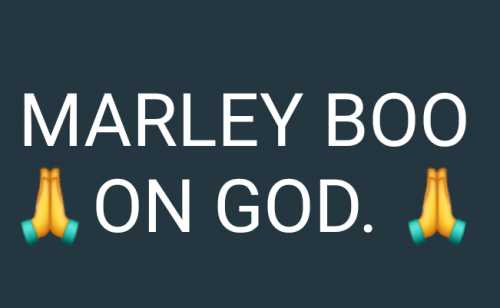 MARLEY ...BOO - ON GOD
