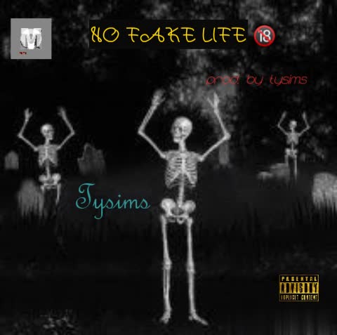 Tysims - No Fake Life