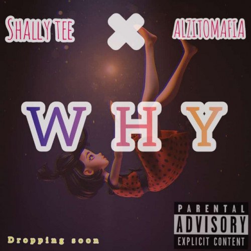 ShallyTee - WHY X Alzito_Mafia