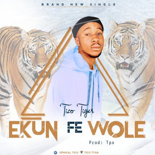 Tico Tiger - Like Play Like Play - Ekun Fe Wole